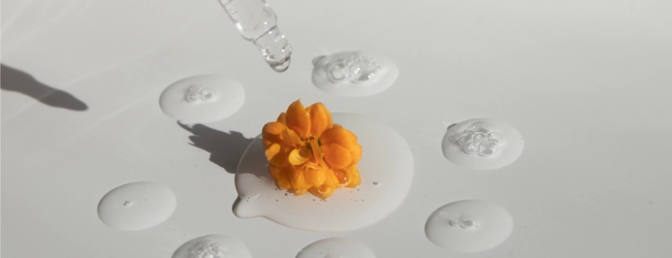 Regolarità intestinale